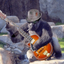 One of the jam session players Gorilla playing